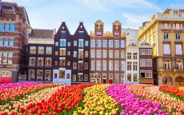 DNB Warns: Middle East War Holding Back Dutch Economy — Reduce Fossil Fuel Dependence Now